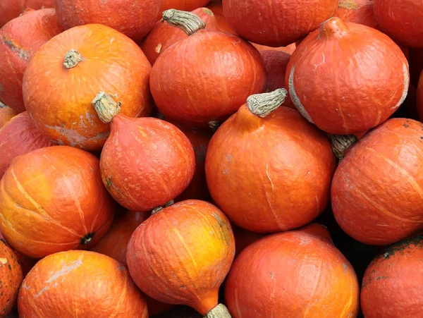 Orange ,small tasty pumpkins — Stock Photo, Image