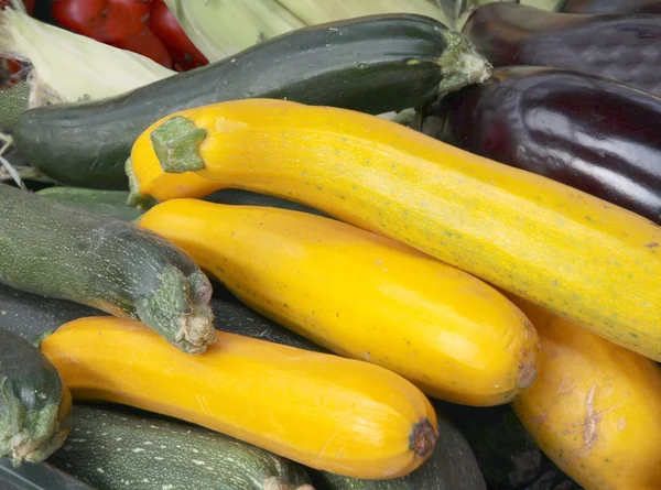 Green and yellow fruits zucchini vegetable — Stock Photo, Image