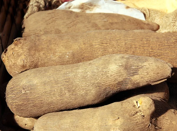Braune Wurzeln von Süßkartoffeln, tropischem Gemüse — Stockfoto