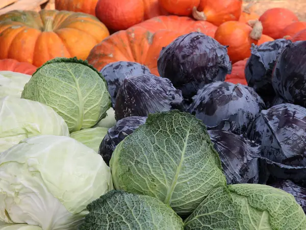 Cabbages,pumpkins and other on bazaar — Stock Photo, Image