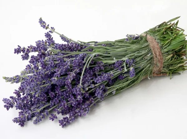 Bunch of lavender herb — Stock Photo, Image