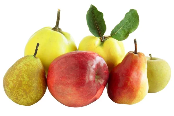 Jabłka, gruszki i pigwy owoce — Zdjęcie stockowe