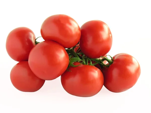 Grupo de tomates vermelhos isolados — Fotografia de Stock