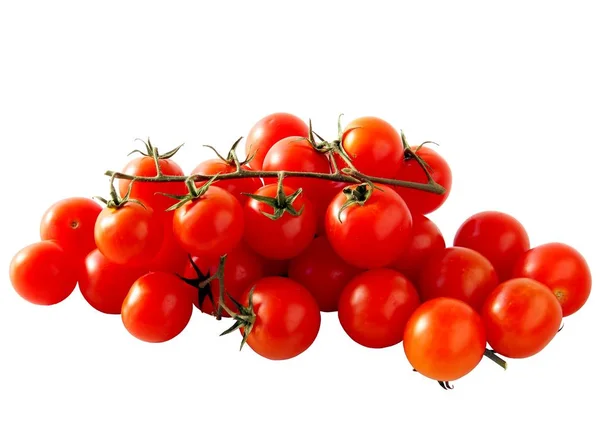 Klastry czerwony, smaczne pomidory cherry — Zdjęcie stockowe