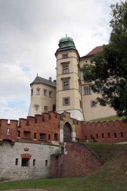 Krallar kale Wawel Krakow