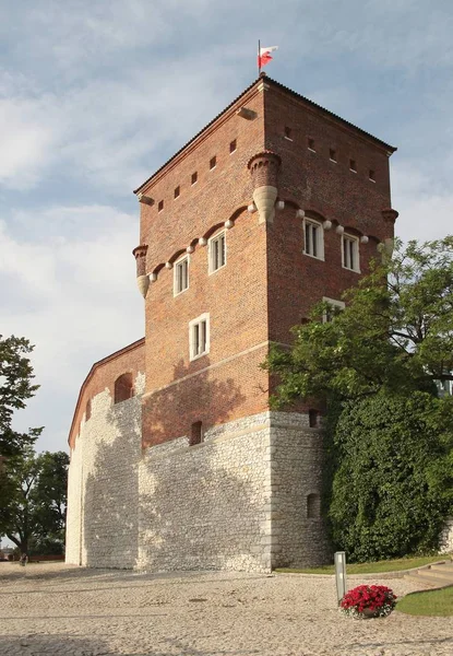 La tour "voleuse" du Château des rois Wawel à Cracovie — Photo