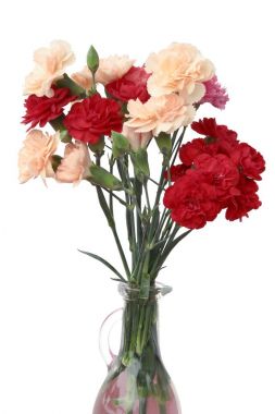 çok renkli karanfiller vecize