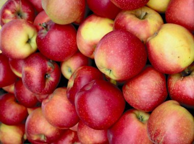 orchard lezzetli, tatlı, Kırmızı elma