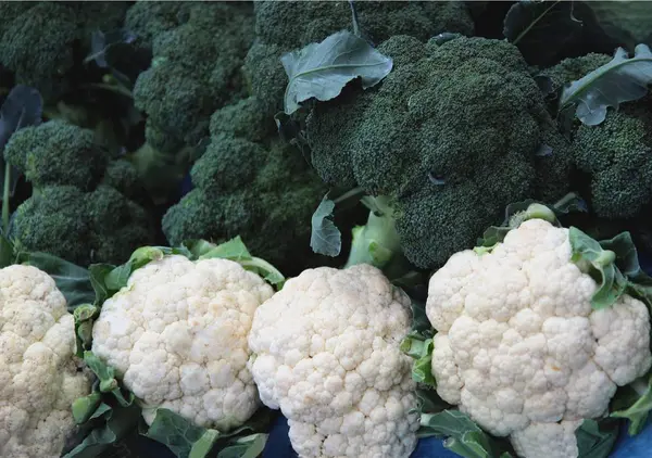 Coliflores blancas y brócoli verde — Foto de Stock