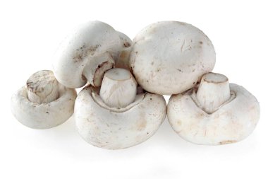 lezzetli yenilebilir mantar agaricur 