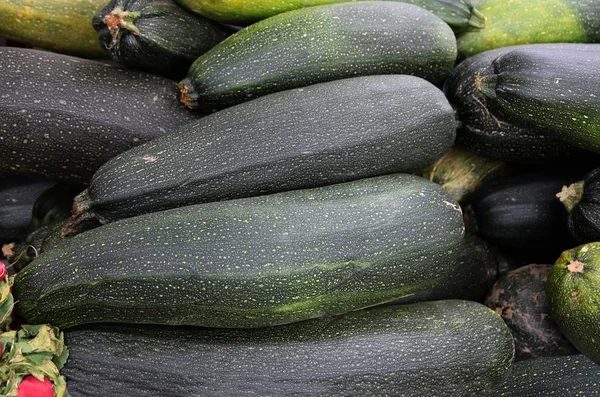 Calabacín verde fruta grande —  Fotos de Stock