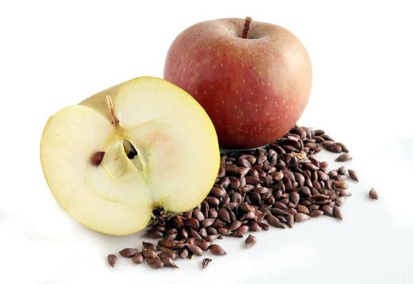 Äpfel Und Braune Samen — Stockfoto