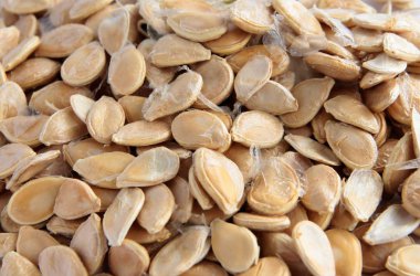 Kabak meyve kurutulmuş tohumları