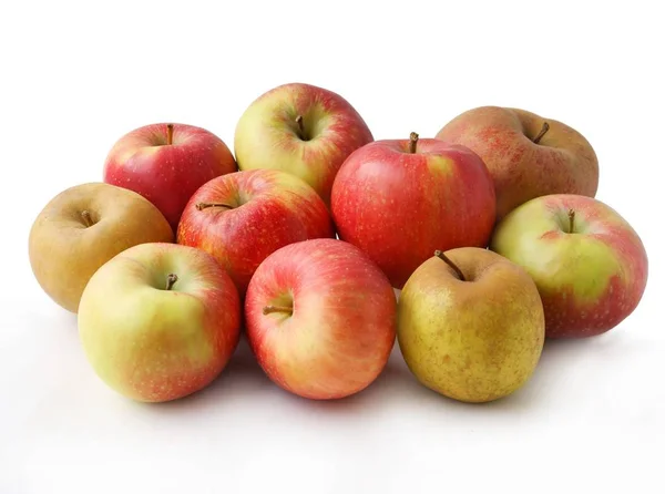 Veelkleurig Smakelijke Appels Uit Boomgaard — Stockfoto