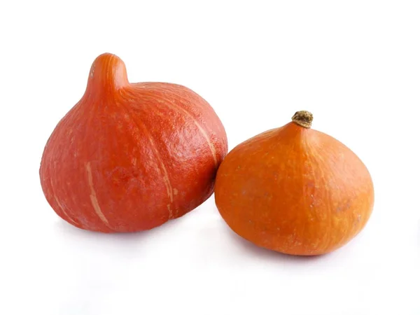 Tasty Orange Pumpkins Wholesome Vegetable — Stock Photo, Image