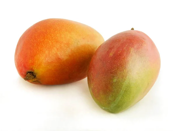 Mango Tropical Fruit Smoothie Delicious Food — Stock Photo, Image