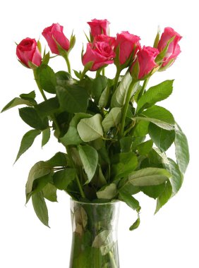Cam vazoda kırmızı güller