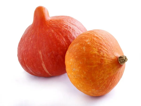 カボチャの野菜のオレンジの果物 — ストック写真