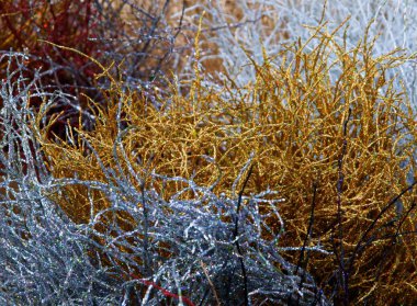 çok renkli, parlak noel ağacı süslemeleri
