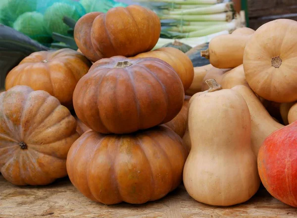 Bunt Geschmackvolle Gemüsekürbisse Als Leckeres Essen — Stockfoto