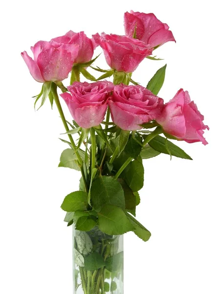 Posy Pink Roses Glass Vase Close — Stock Photo, Image