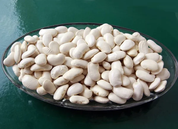 White Dry Seeds Bean Close — 스톡 사진