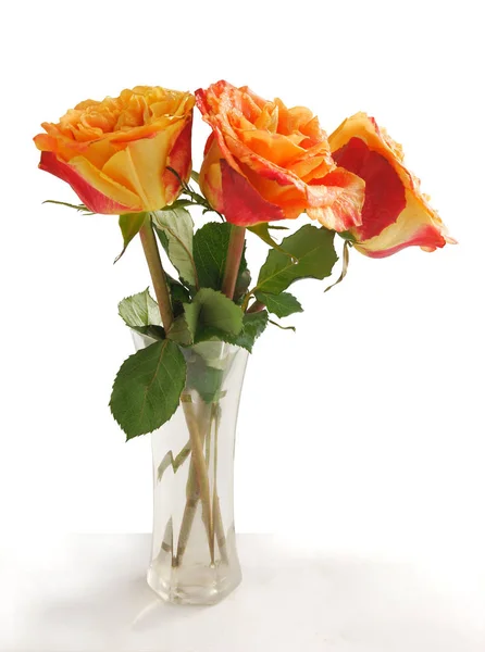 Posy Rose Rosse Gialle Vaso Vetro — Foto Stock