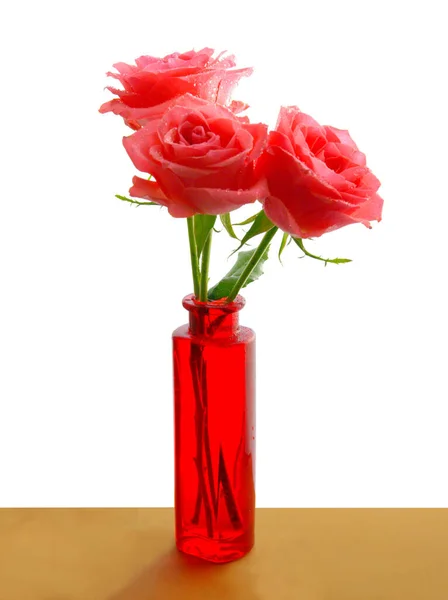 Ganska Rosa Ros Närbild Isolerad — Stockfoto