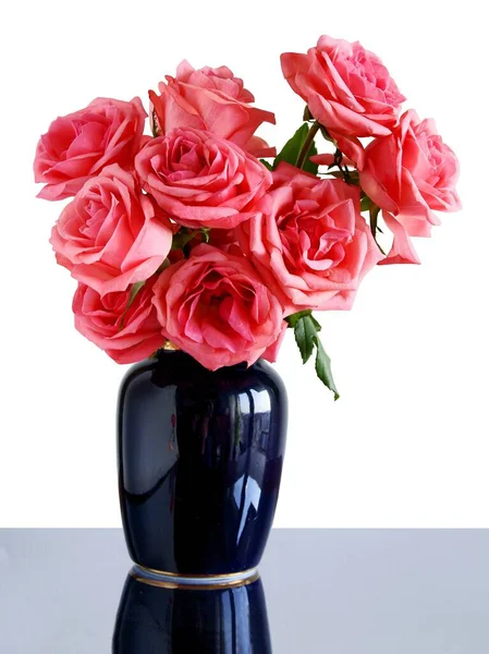 Posy Rosas Rosadas Cerca — Foto de Stock