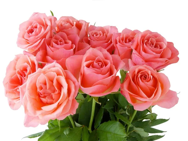 Bukiet Ładny Różowy Róż Zbliżenie — Zdjęcie stockowe