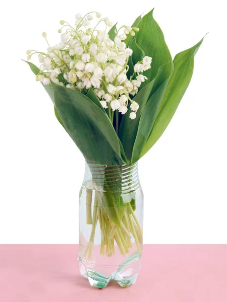 Flores Blancas Planta Convallaria Maialis Primavera — Foto de Stock