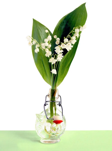 Posy Van Geurige Bloemen Convallaria Maialis — Stockfoto