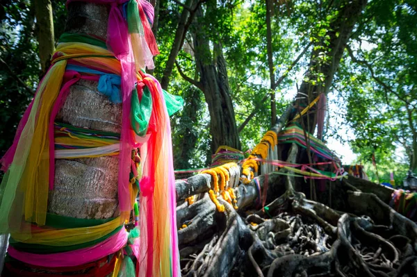 Γκρο πλαν του παραπετάσματος πολύχρωμο δέντρο, παραδοσιακό ταξιδεύουν στην Tha — Φωτογραφία Αρχείου