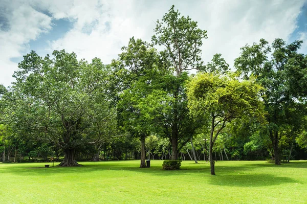 Grön av trädgård landskap med mulen himmel — Stockfoto