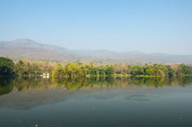 Gölet ve ağaç orman manzara