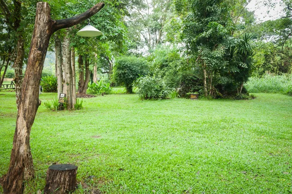 Lawn of Green Garden Landscape — Stock Photo, Image