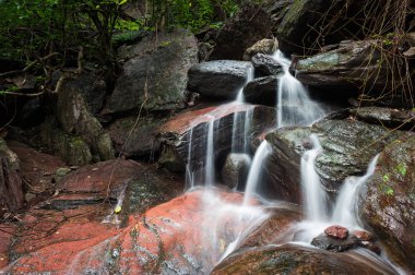 Şelale orman peyzaj