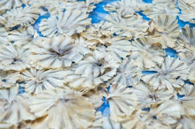 Daire, koruma gıda ve Pazar satışında Deniz balığı şekil