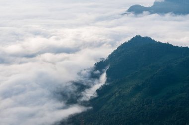 Foggy ve dağ Phu Chi Fa manzara, Tayland