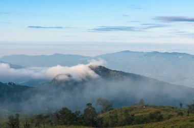 Foggy ve dağ Phu Chi Fa manzara, Tayland