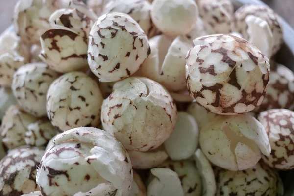 Zbliżenie Składnika Materiału Siewnego Surowe Jedzenie Kokos — Zdjęcie stockowe