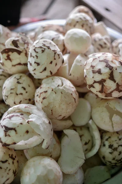 Kookospähkinän Siementen Lähikuva Elintarvikkeiden Raaka Aine — kuvapankkivalokuva