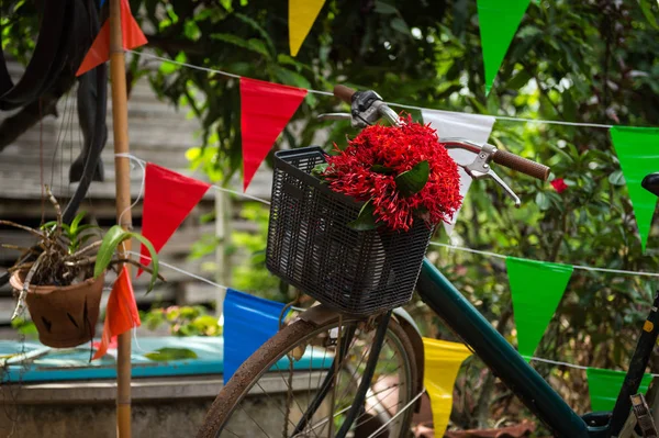 Primer Plano Flor Roja Cesta Bicicleta —  Fotos de Stock