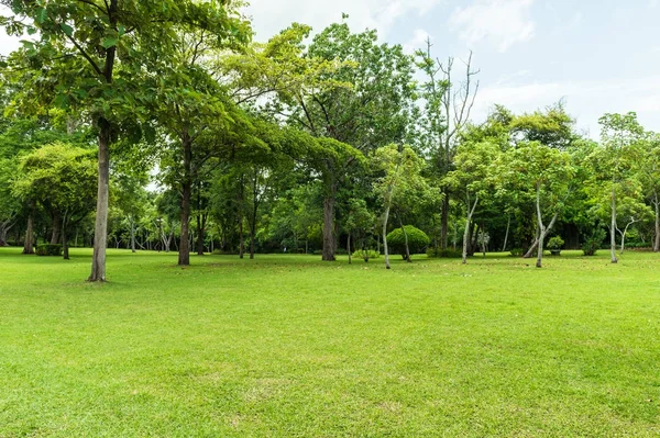 Verde Del Jardín Paisaje Con Cielo Nublado —  Fotos de Stock