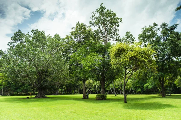 Grön Trädgård Landskap Med Mulen Himmel — Stockfoto