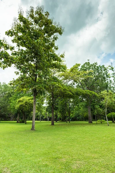 Verde Del Jardín Paisaje Con Cielo Nublado —  Fotos de Stock