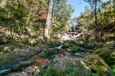 Şelale doğa park peyzaj içinde