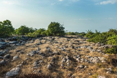 Mavi gökyüzü olan taştan arazi manzarası, Phu Hin Rong Kla National P