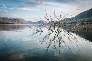 Dağ ve mavi bulutlu göl manzarası