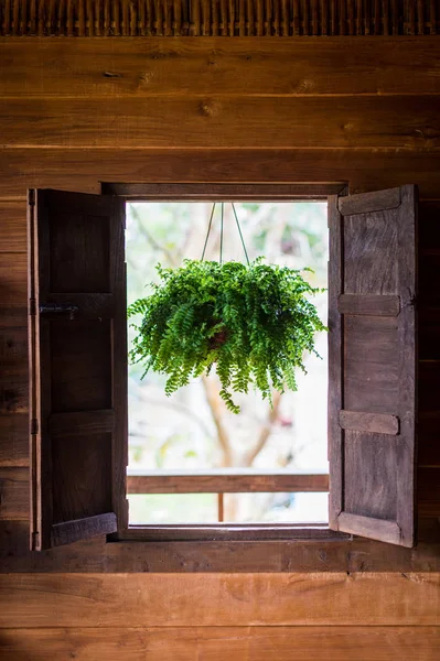 Zavěšení květináč s dřevěným oknem detailní up — Stock fotografie